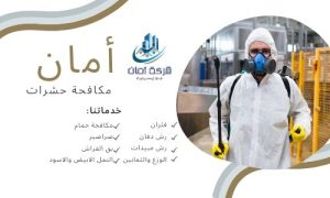مكافحة حشرات بالدمام