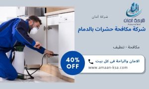 مكافحة وتنظيف حشرات بالدمام