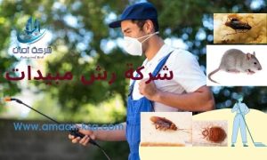 رش مبيدات بالمزاحمية