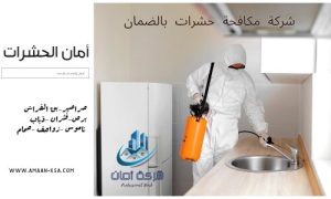 مكافحة حشرات بالضمان