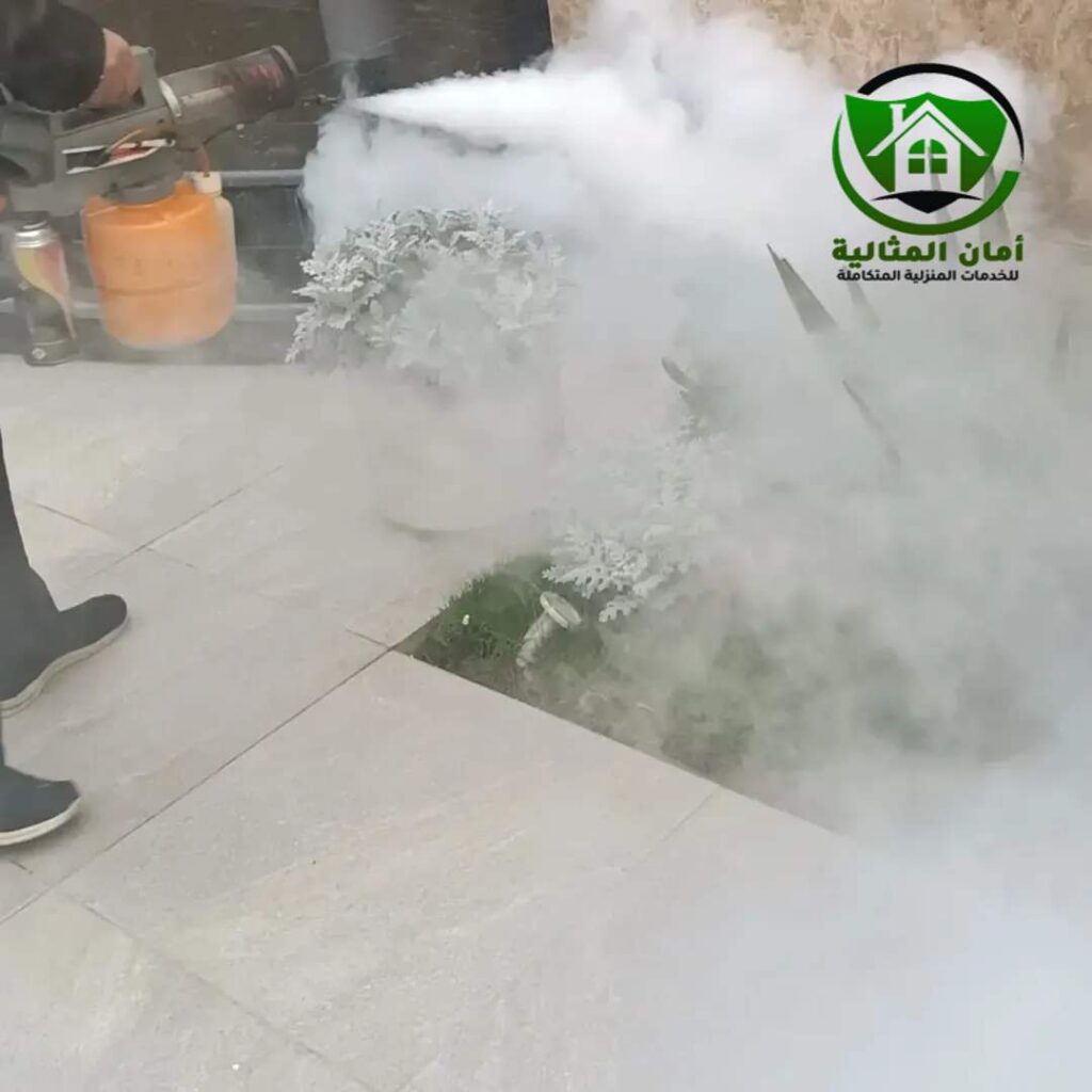 رش حشرات