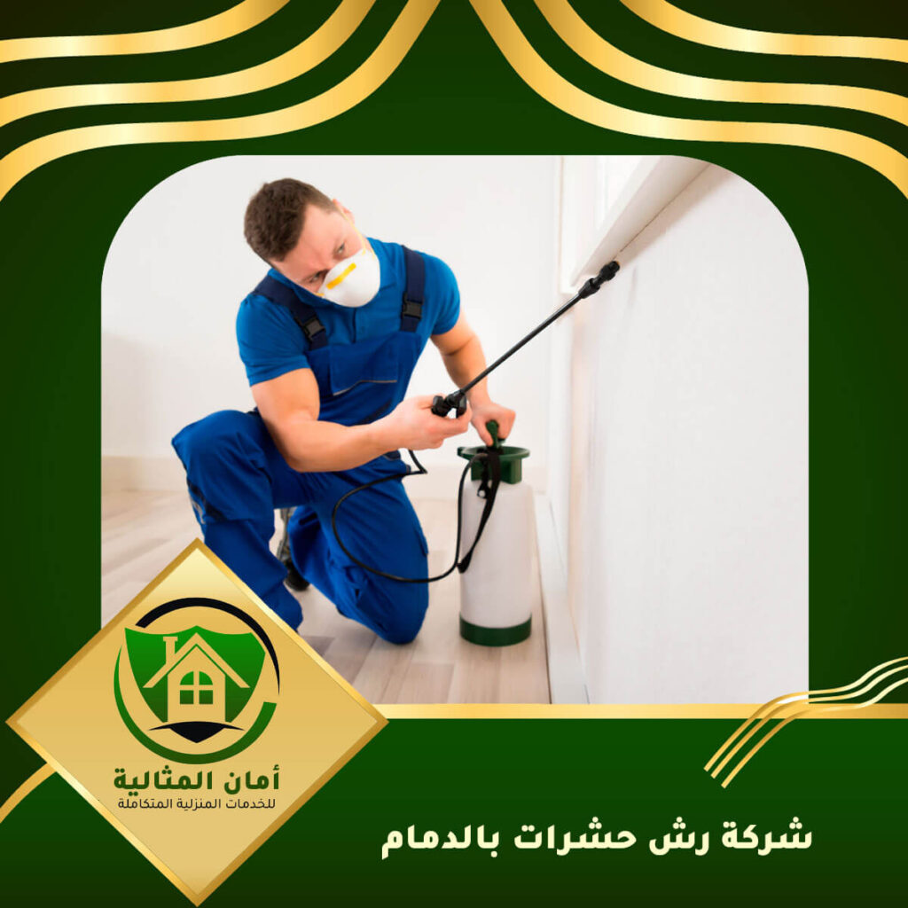 شركة رش حشرات بالدمام