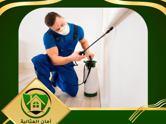 شركة رش حشرات بالدمام