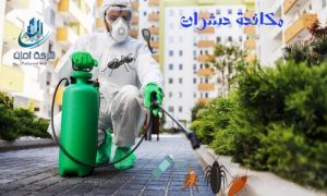 مكافحة حشرات بالاحساء