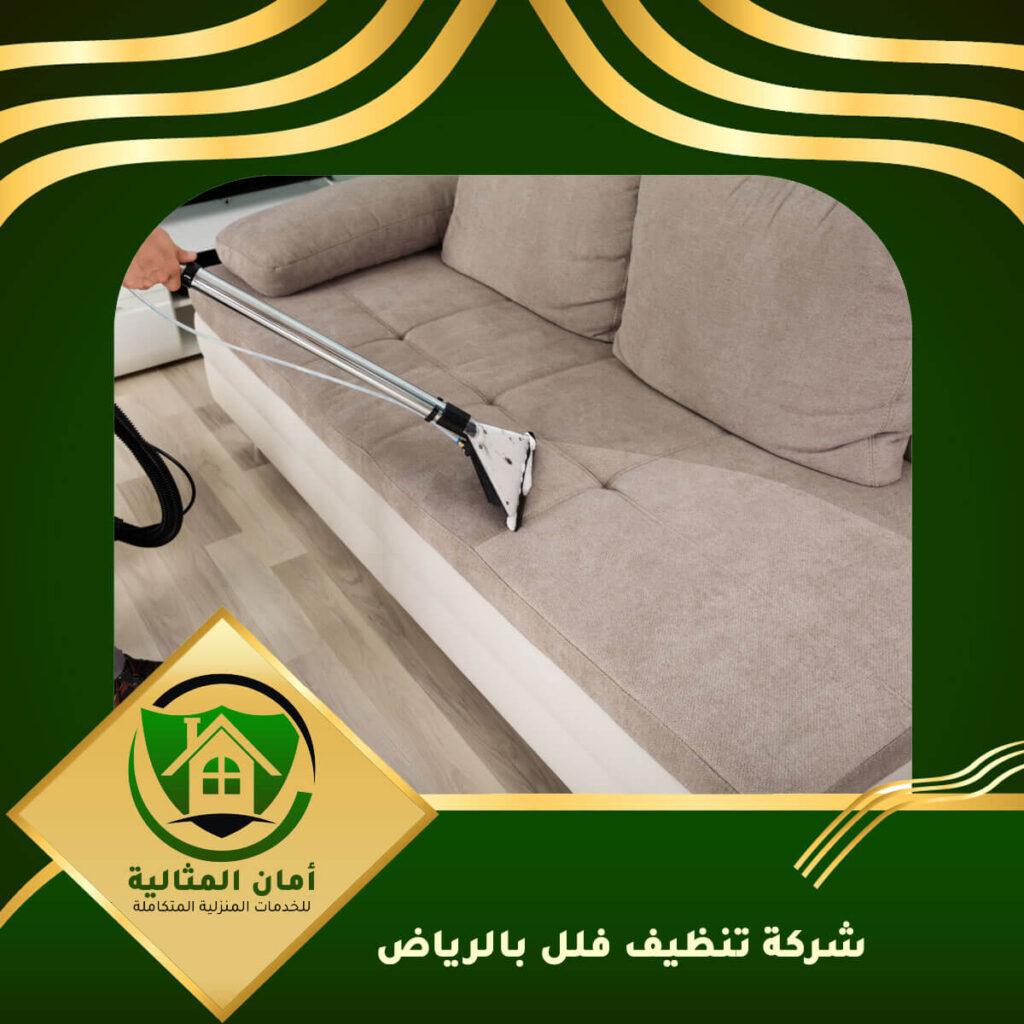شركة تنظيف فلل بالرياض