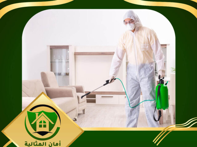 شركة رش صراصير بالمزاحمية