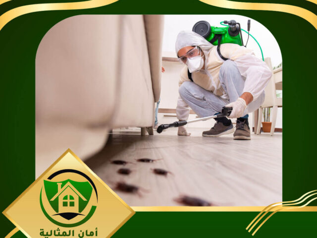شركة رش مبيدات بالرياض