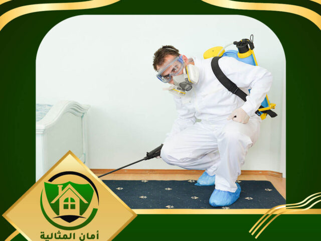 شركة مكافحة حشرات بالرياض