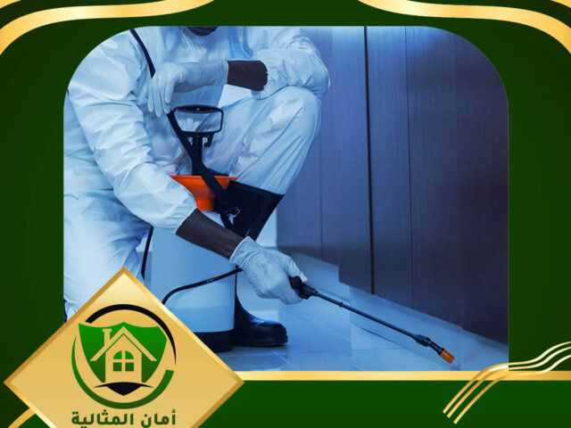 شركة مكشركة مكافحة حشرات بالمزاحميةافحة حشرات بالمزاحمية