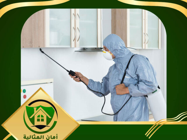 شركة رش مبيدات بالاحساء