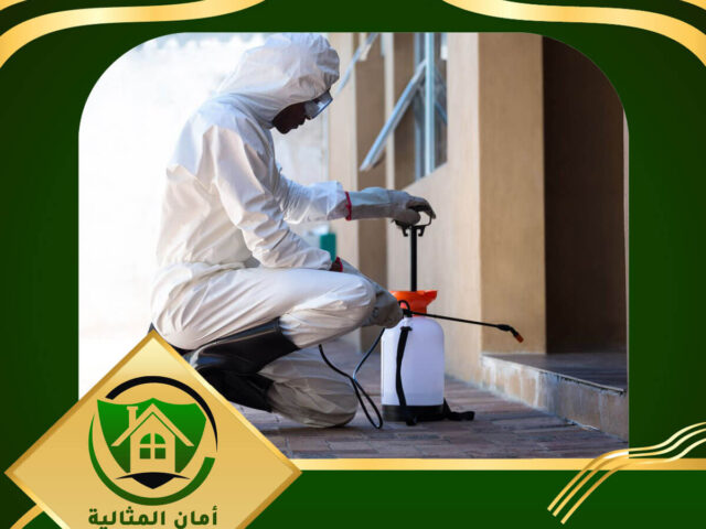 شركة مكافحة حشرات بالاحساء