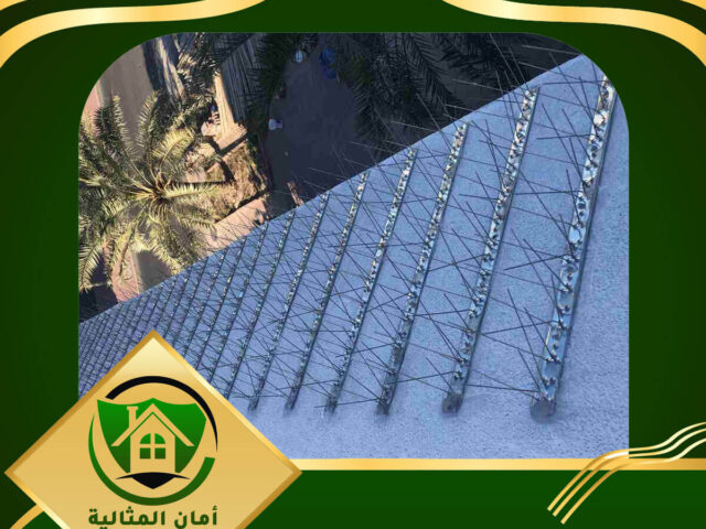 شركة تركيب طارد الحمام بالاحساء
